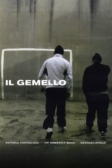 Il gemello
