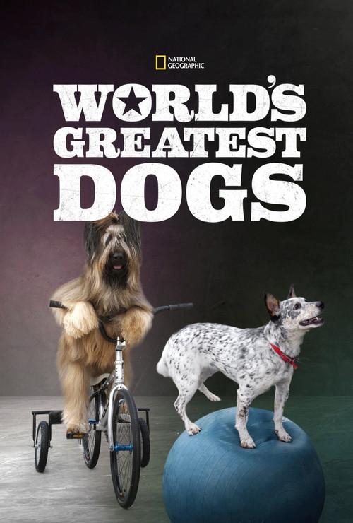 World's Greatest Dogs