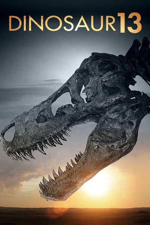 Dinosaur 13