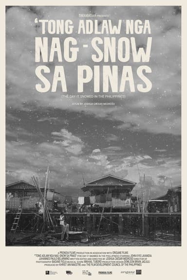 The Day It Snowed in the Philippines